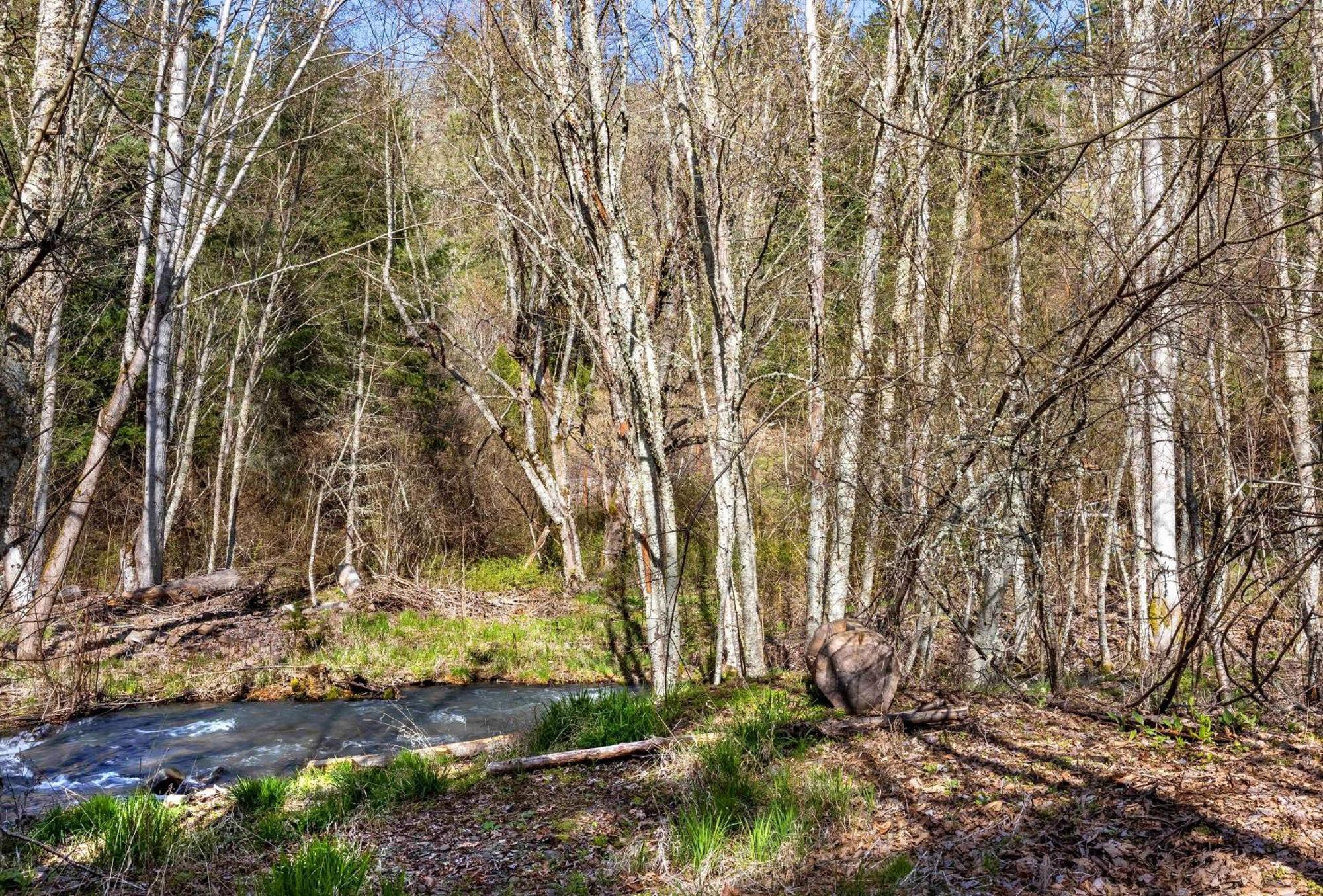 Neal Creek Retreat Villa Mount Hood Bagian luar foto